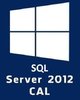 MICROSOFT SQL SERVER CAL 2012 STANDARD Licenza ESD