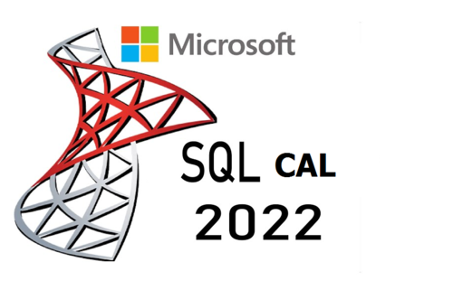 MICROSOFT SQL SERVER 2022 CAL - 1 User CAL