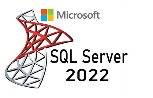MICROSOFT SQL SERVER 2022 STANDARD Edition Perpetual
